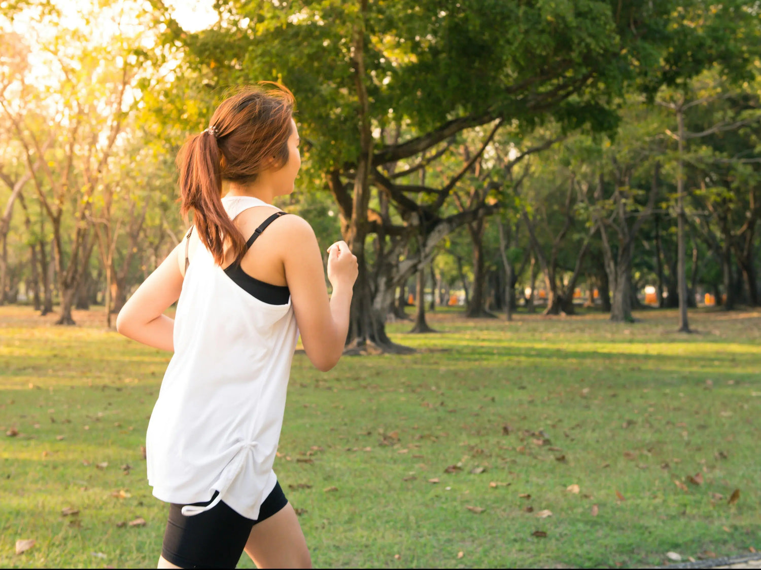 Knee Support Brace Alternatives: Your Complete Guide
